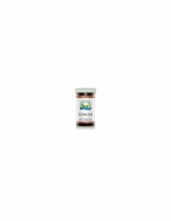 Ginger 100 capsulas natures sunshine