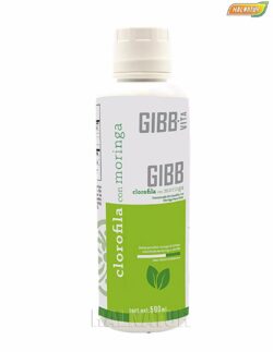 Clorofila con moringa gibb