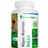 Algas marinas 100 capsulas naturalmaxx